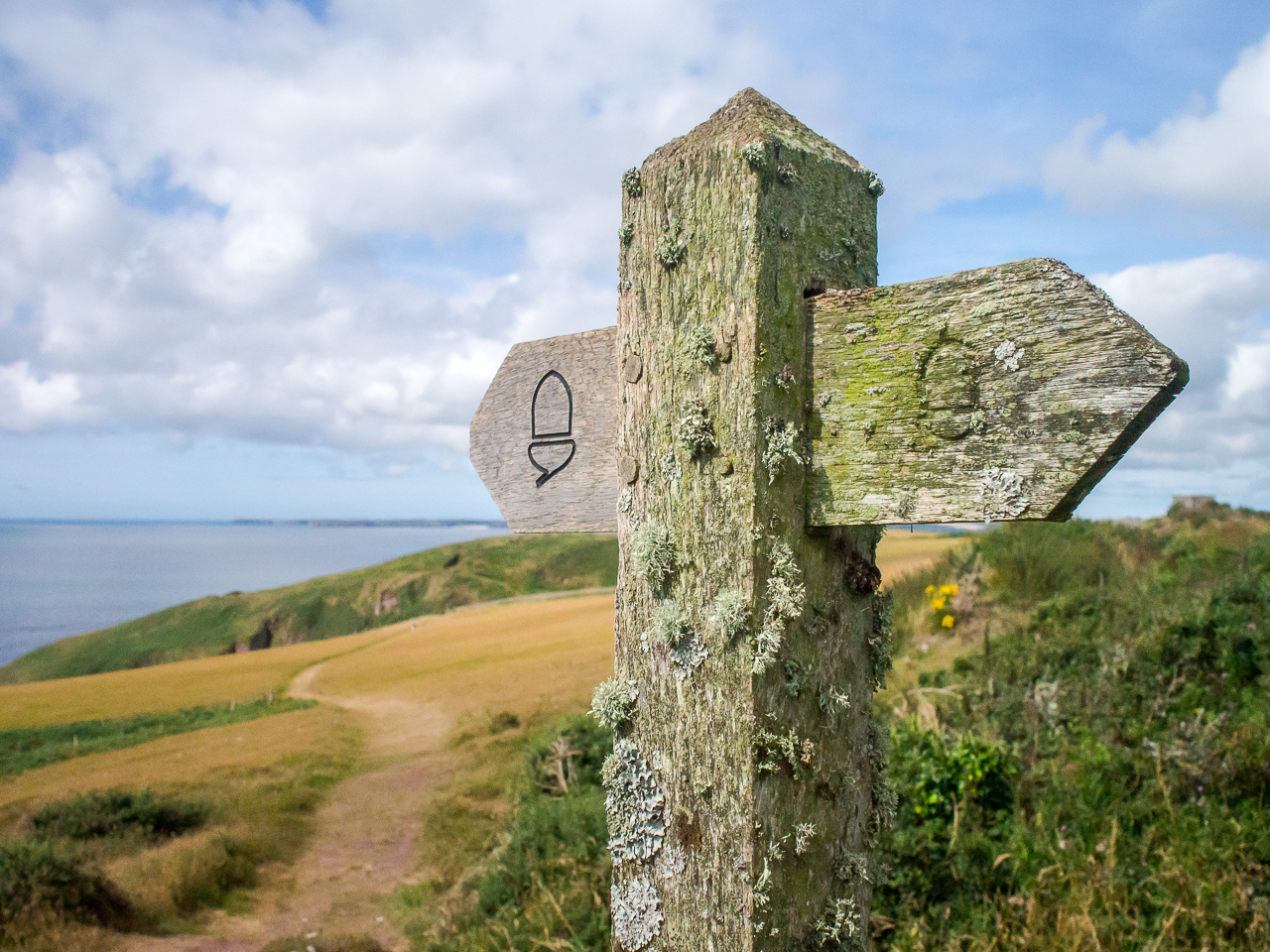 National Trails sign on the Pembrokeshire Coast Path