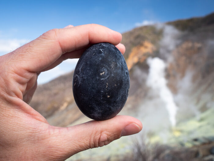 An Owakudani egg - boiled in geothermal hot spings on the side of Mount Hakone, an active volcano in Hakone, Japan. The water turns the eggshell jet black.