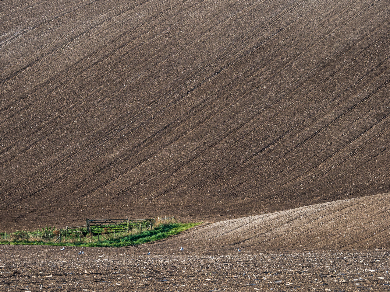Travel photography England: Ploughed soil fields near Firle Beacon, a hill on the South Downs Way, East Sussex, England.